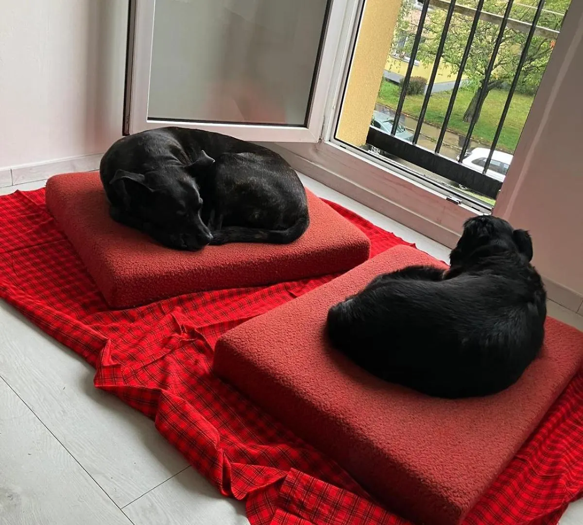 Apartmán Apartman U Lesoparku - Praha Kobylisy