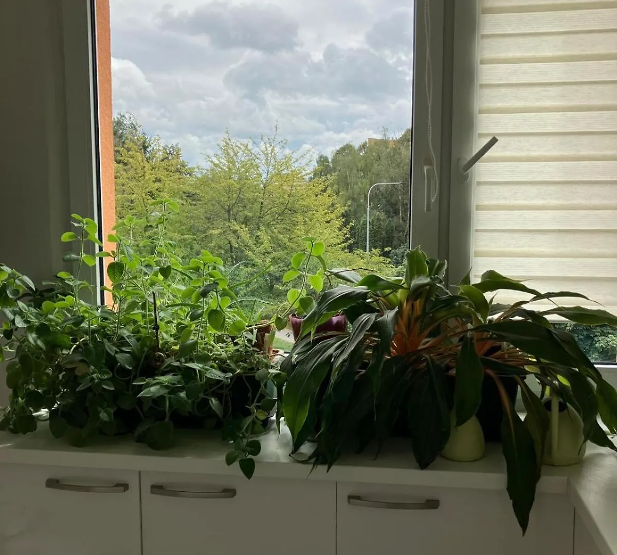 Apartmán Apartman U Lesoparku - Praha Kobylisy Česká republika