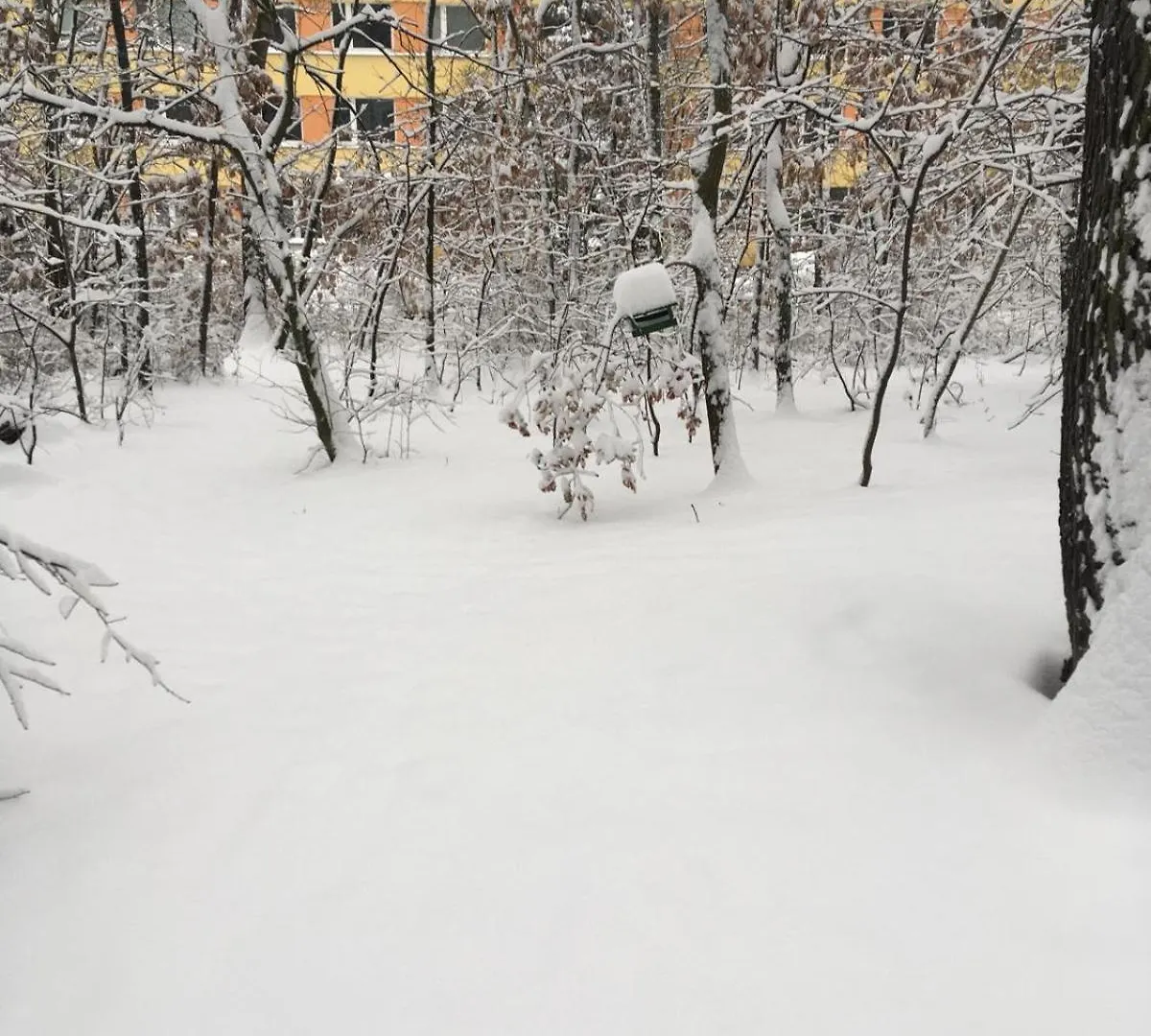 Apartman U Lesoparku - Praha Kobylisy Apartment